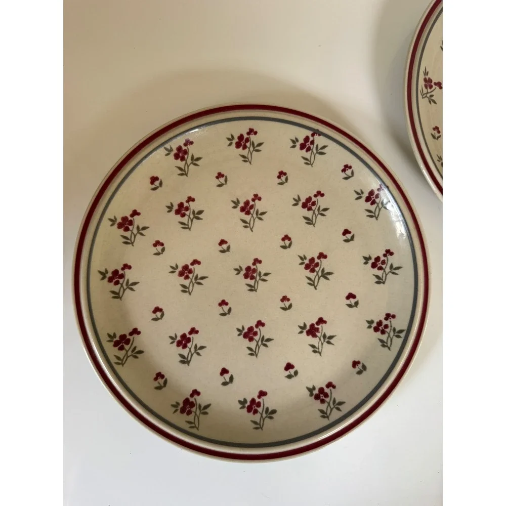 Newcor Stoneware Cambridge Dinner Plates Set of 2 Red Floral Japan Vintage